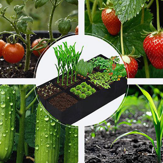 Pflanzsack aus Stoff mit Unterteilungen – Atmungsaktiv & Wiederverwendbar 🌿 Für Gemüse & Blumen🌿
