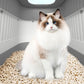 ⏰ 30 % RABATT – Nur für kurze Zeit ✨Große Katzentoilette – Geschlossen, Schubladen-Design, Anti-Spritzer & Geruchskontrolle 🐱 Für Zuhause