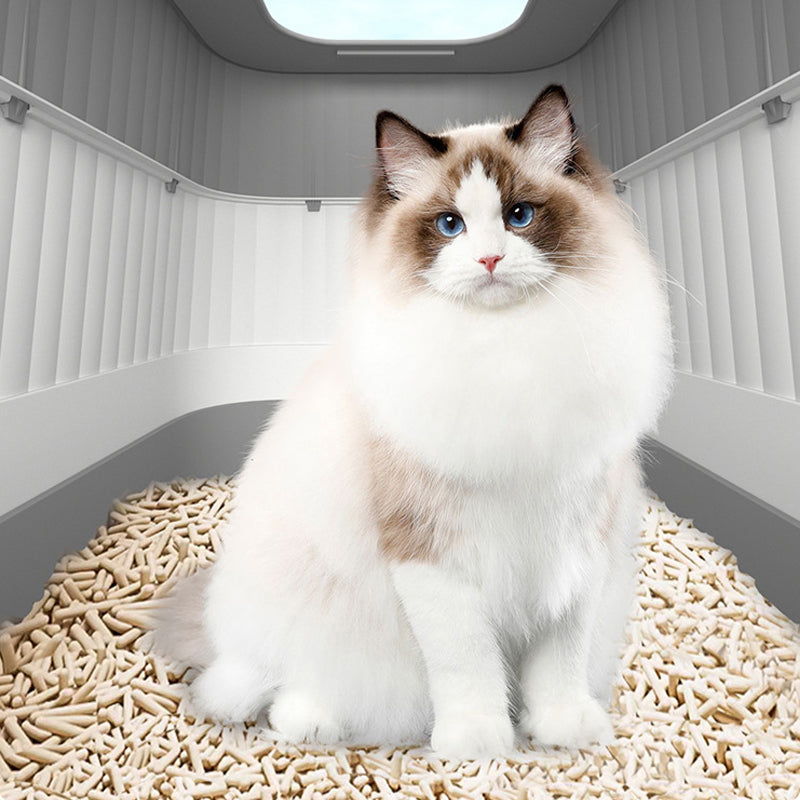 ⏰ 30 % RABATT – Nur für kurze Zeit ✨Große Katzentoilette – Geschlossen, Schubladen-Design, Anti-Spritzer & Geruchskontrolle 🐱 Für Zuhause