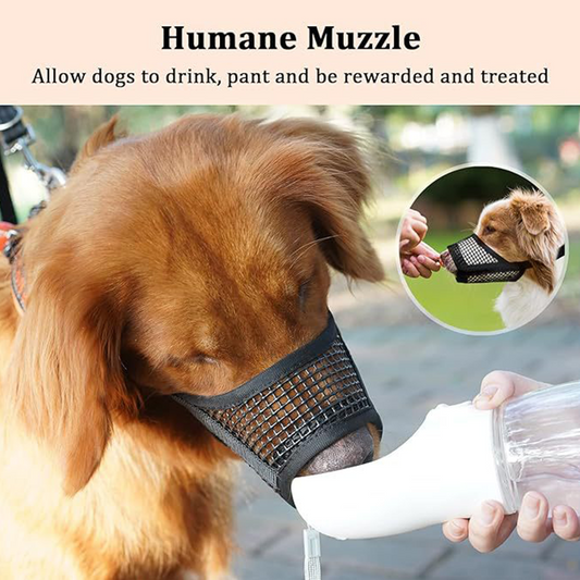 🐶 Atmungsaktiver Mesh-Maulkorb für kleine Hunderassen – leichter Korb für Spaziergänge & Training 🌿