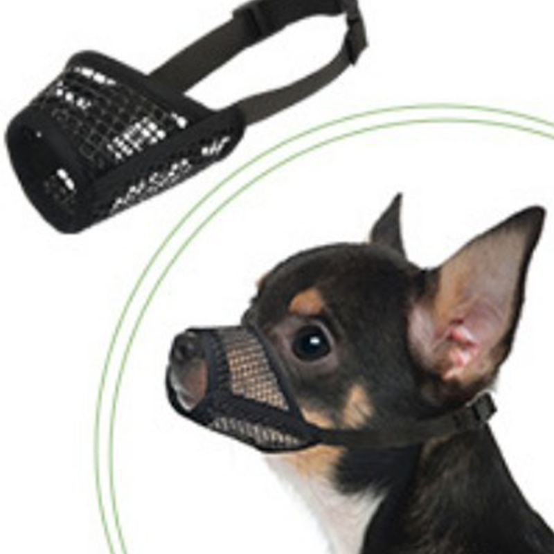 🐶 Atmungsaktiver Mesh-Maulkorb für kleine Hunderassen – leichter Korb für Spaziergänge & Training 🌿