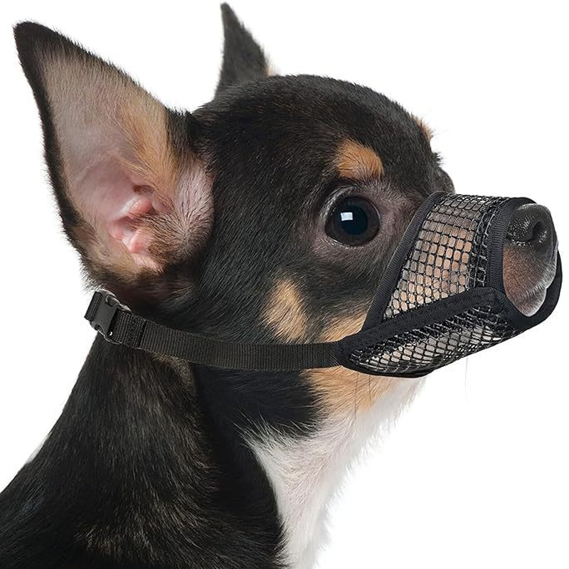 🐶 Atmungsaktiver Mesh-Maulkorb für kleine Hunderassen – leichter Korb für Spaziergänge & Training 🌿