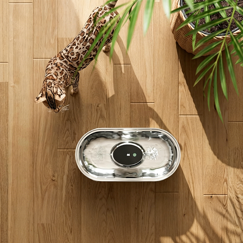 📢Mid-Season Sale: −50% nur für kurze Zeit⏰🐾 Kabelloser smarter Trinkbrunnen für Haustiere – mit Wasserstandsanzeige & Filtersystem, ideal für Katzen & Hunde 💧