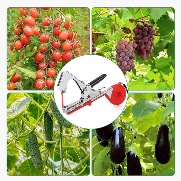 🍇 Reb- & Pflanzenbinder für Obstbäume, Wein & Gemüse – handliches Bindegerät für Gewächshaus & Garten, spart Zeit & Material 🌿