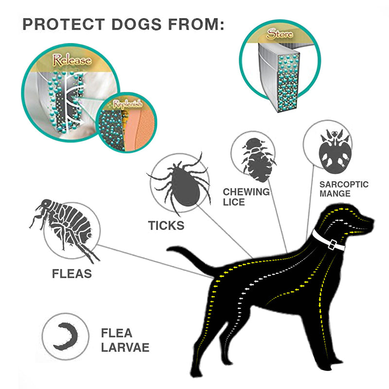 🐶🐱 Floh- und Zeckenhalsband für Hunde und Katzen, wasserdicht, verstellbar, für langanhaltenden Schutz im Freien