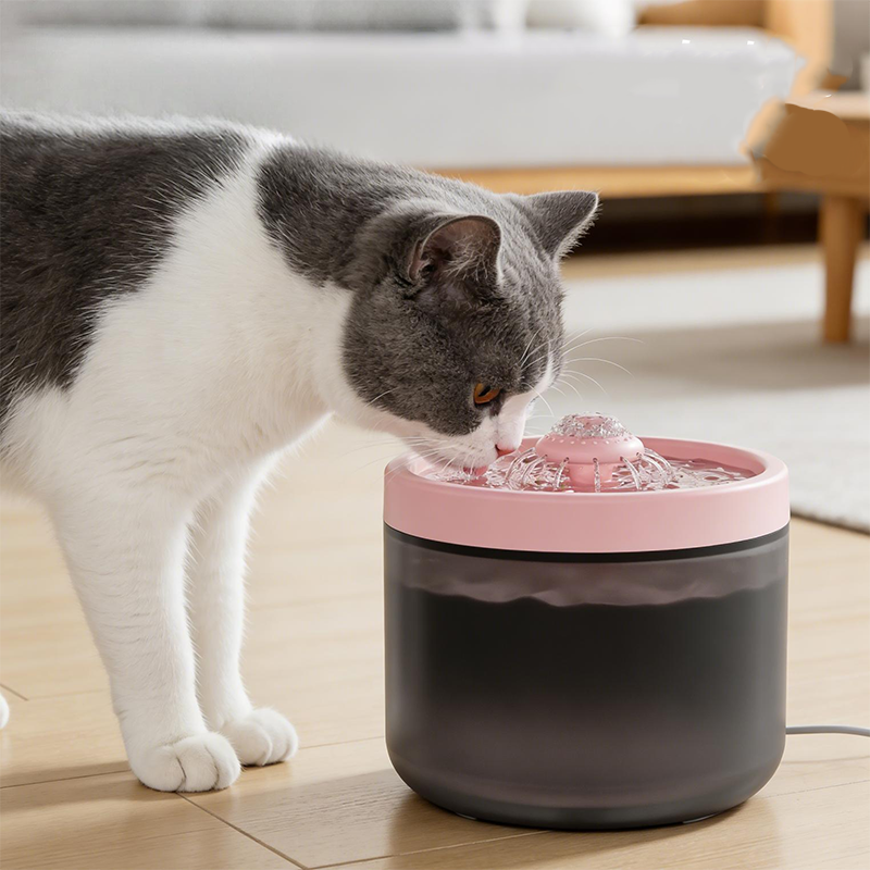 🔥 50% RABATT! 🐱 Automatischer Trinkbrunnen für Katzen & Hunde ✨ Leise, Wasserfilter & Zirkulierendes Frischwasser
