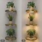 🛍️ 50 % Rabatt – Schwebendes Wandregal mit integrierter LED-Ambientebeleuchtung – modernes Design, warmes Licht & vielseitig für Wohnzimmer, Schlafzimmer & Flur ✨