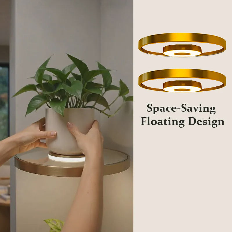 🛍️ 50 % Rabatt – Schwebendes Wandregal mit integrierter LED-Ambientebeleuchtung – modernes Design, warmes Licht & vielseitig für Wohnzimmer, Schlafzimmer & Flur ✨