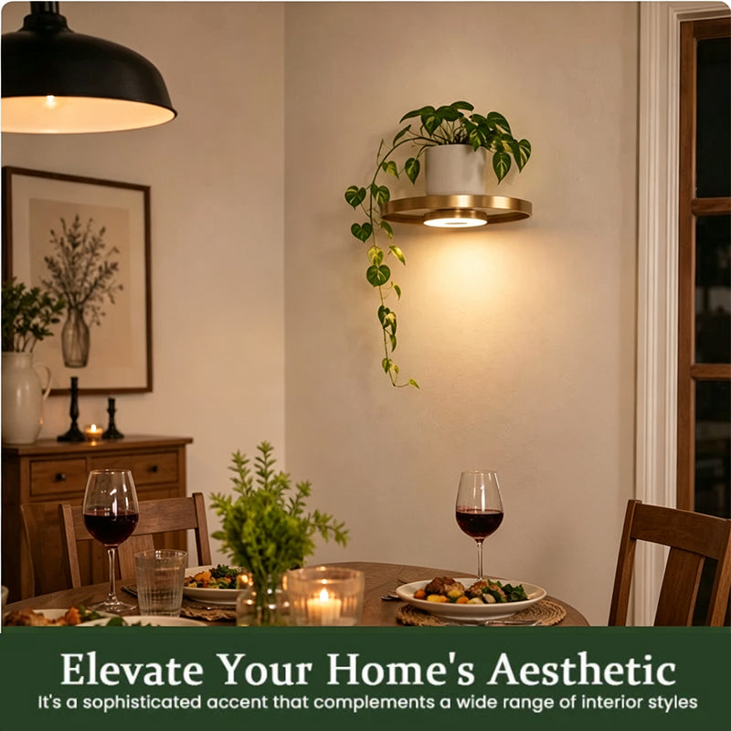 🛍️ 50 % Rabatt – Schwebendes Wandregal mit integrierter LED-Ambientebeleuchtung – modernes Design, warmes Licht & vielseitig für Wohnzimmer, Schlafzimmer & Flur ✨