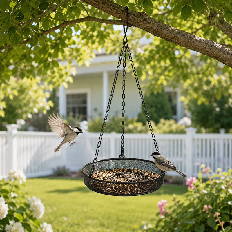 🌿 50 % Rabatt – Metall-Vogelhängehaus mit runder Futterschale – wetterfest, stabil & vielseitig für Garten, Balkon & Terrasse 🐦