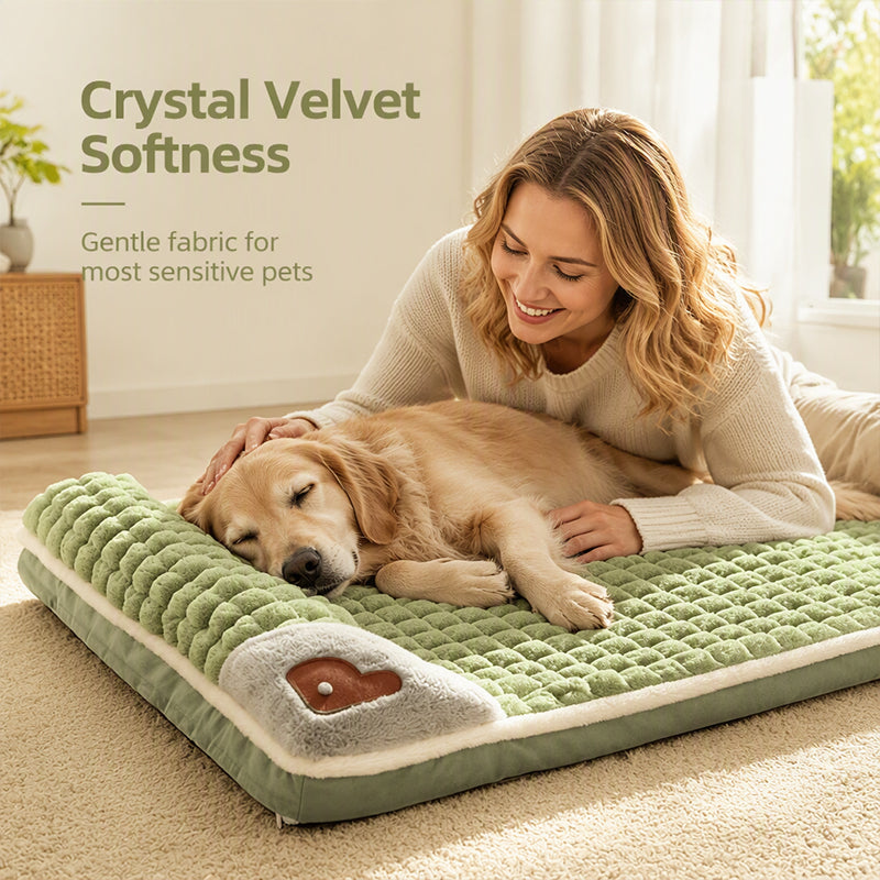 ⏰ 50 % Rabatt für kurze Zeit!🐶🛏️ Weiche Haustiermatte für Hunde & Katzen – Dick gepolsterter, waschbarer Schlafplatz für alle Jahreszeiten