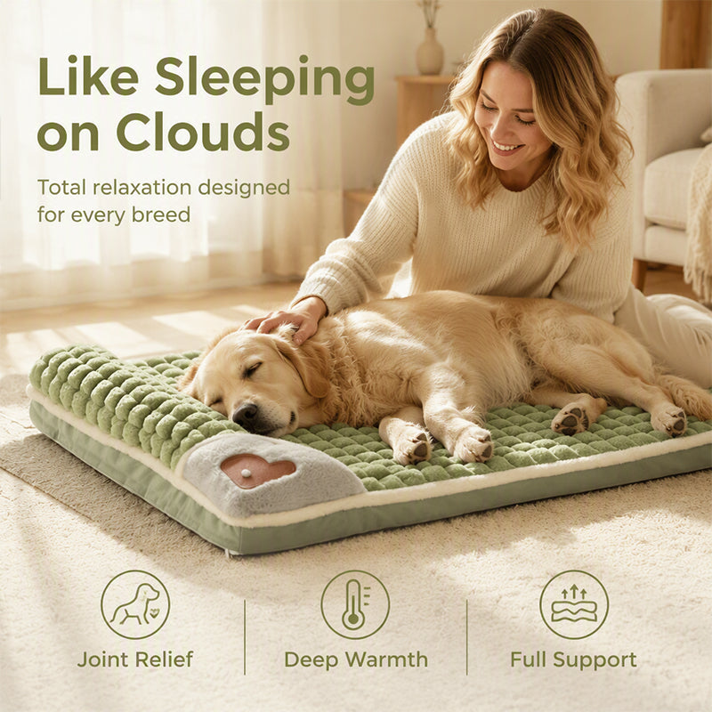 ⏰ 50 % Rabatt für kurze Zeit!🐶🛏️ Weiche Haustiermatte für Hunde & Katzen – Dick gepolsterter, waschbarer Schlafplatz für alle Jahreszeiten