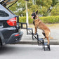 🎉 ZEITLICH BEGRENZT 50% RABATT! 🐕 Tragbare, faltbare, rutschfeste Hunde-Autotreppe – Robuste Unterstützung, verstärkte Griffe & kompaktes Design ✨