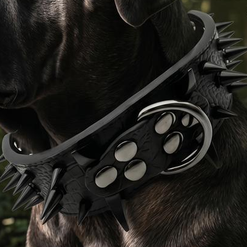 🐕 Robustes Hundehalsband mit Nieten – Strapazierfähiges Halsband für große Hunde und tägliche Spaziergänge