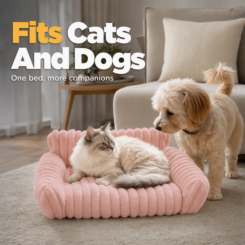 🐾 50% RABATT! ☁️ Gemütliches Sofa-Haustierbett, weiche Polsterung, rutschfester Boden, perfekt für Katzen und Hunde🛋️✨