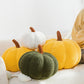 🍂🎃 Kuscheliges Kürbiskissen – Flauschige Herbstdekoration für Sofa, Sessel und Schlafzimmer
