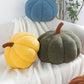 🍂🎃 Kuscheliges Kürbiskissen – Flauschige Herbstdekoration für Sofa, Sessel und Schlafzimmer
