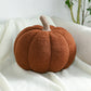 🍂🎃 Kuscheliges Kürbiskissen – Flauschige Herbstdekoration für Sofa, Sessel und Schlafzimmer