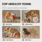 🔥 50% RABATT! 🐾 Höhenverstellbarer Edelstahl Futternapf – Anti-Schling Napf mit Doppelnapf-Ständer für Hunde & Katzen
