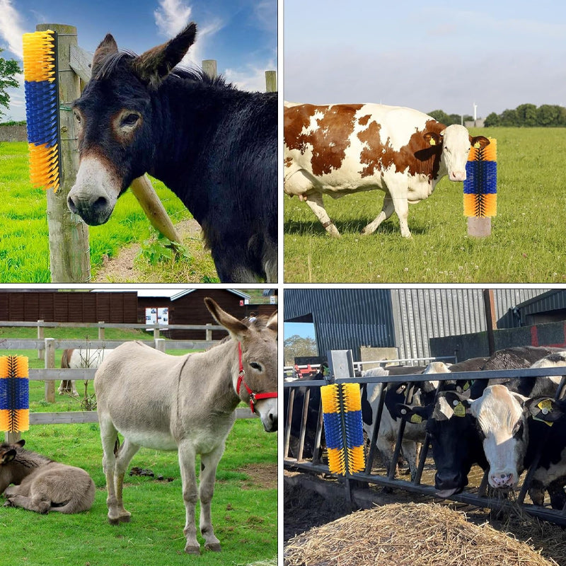 🐄 50% RABATT! 🧼 Viehbürste mit harten Borsten – Kratzbürste für Kühe, Pferde, Ziegen & Schweine, für Weide & Stall