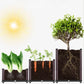 Multifunctional Vegetable Planting Box