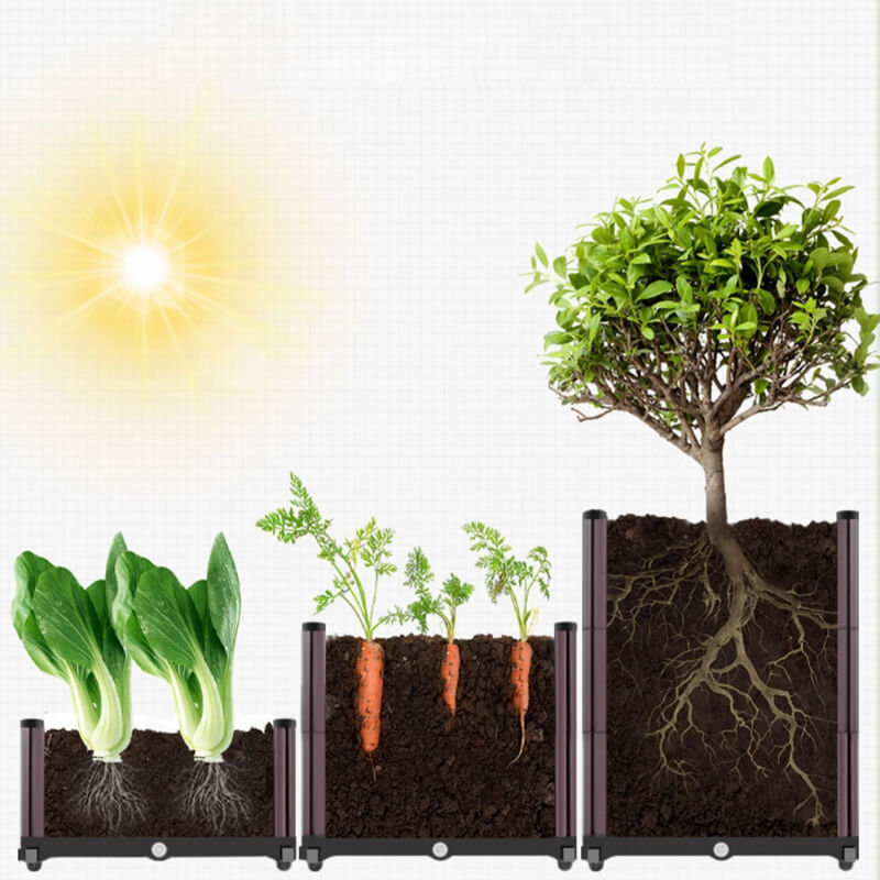 Multifunctional Vegetable Planting Box