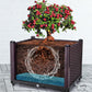 Multifunctional Vegetable Planting Box