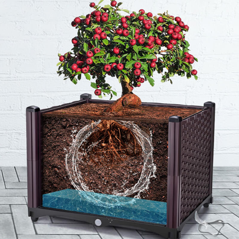 Multifunctional Vegetable Planting Box