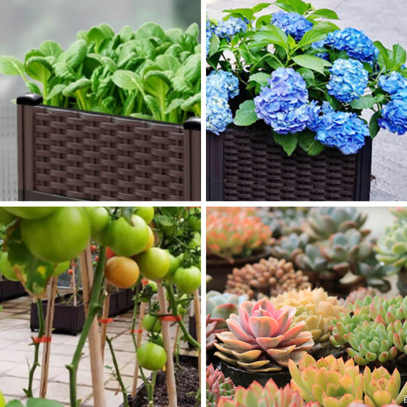 Multifunctional Vegetable Planting Box