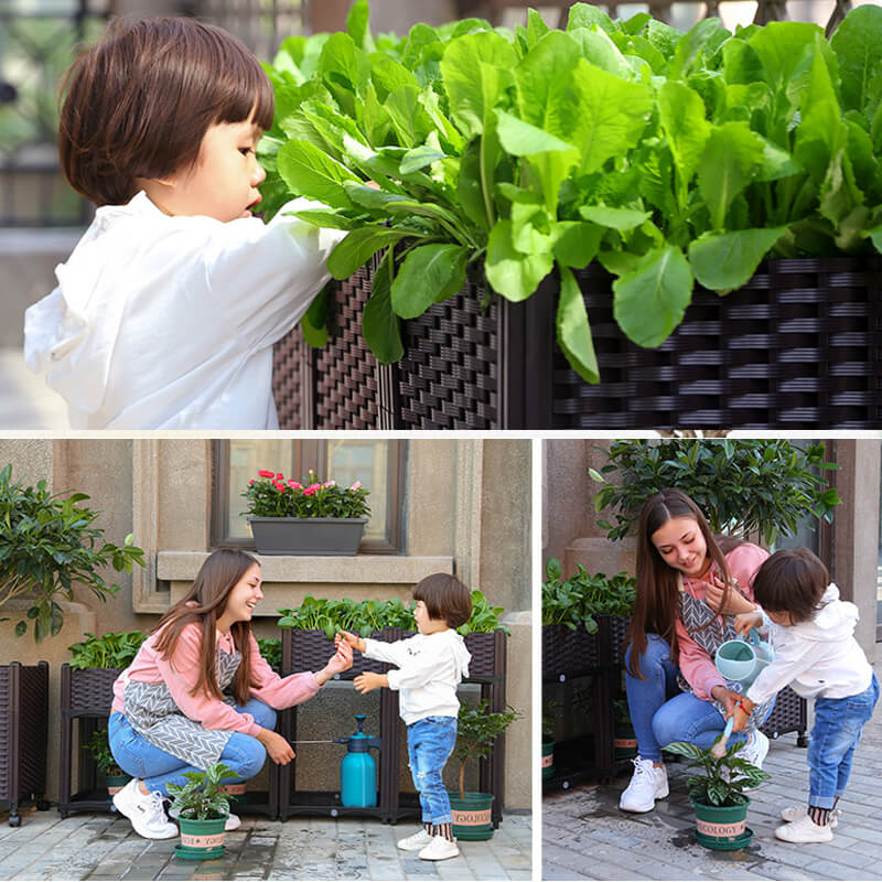 Multifunctional Vegetable Planting Box