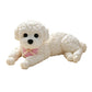 Cute Squishy Teddy Dog Stress Relief Toy