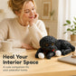 Cute Squishy Teddy Dog Stress Relief Toy
