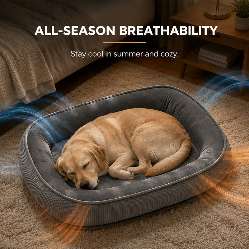 🐾 NUR FÜR KURZE ZEIT 50 % RABATT! ☁️ Ergonomisches Haustierbett für alle Jahreszeiten – Kuschelig, Atmungsaktiv, Gemütlich ✨