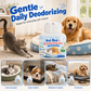 🔥 50 % Rabatt! 🐶 Haustier Geruchsneutralisierer Gel – Entfernt unangenehme Tiergerüche & sorgt für langanhaltende Frische