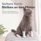 🐶 50 % Rabatt! Einweg-Hundeschuhe – Wasserdichter & rutschfester Pfotenschutz für saubere Pfoten