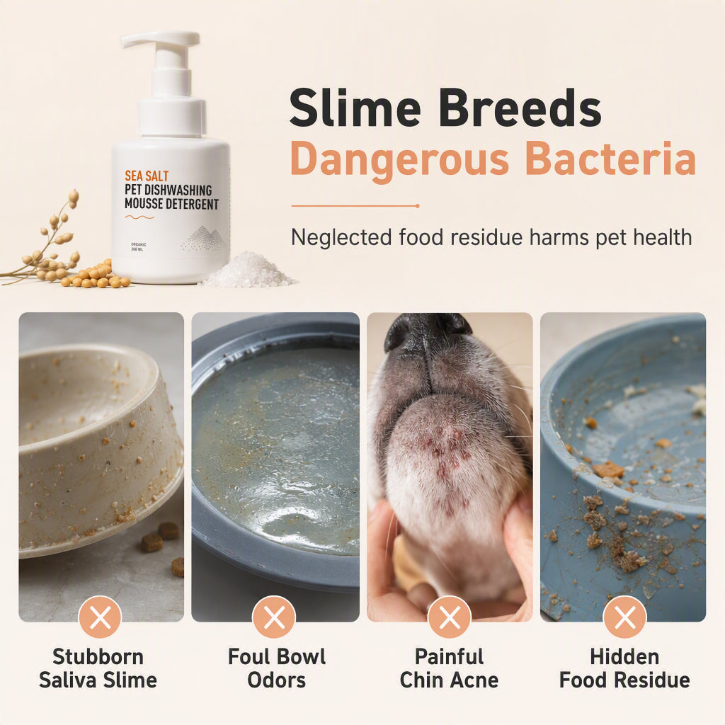 🧼 50 % Rabatt! Reinigungsschaum für Haustiernäpfe – Mit Meersalz & Reinigungsschwamm 🐾