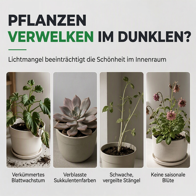 🌱 50% RABATT! 💡 Vollspektrum-LED-Pflanzenlampe – Fördert Wachstum & Blüte ✨