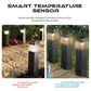🏡 50 % Rabatt ! Solarbetriebene Deko-Leuchte für Garten & Terrasse, warmes Licht, kabellos & wetterfest