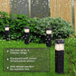🏡 50 % Rabatt ! Solarbetriebene Deko-Leuchte für Garten & Terrasse, warmes Licht, kabellos & wetterfest