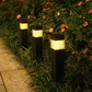 ⏰ Nur für kurze Zeit: 50% Rabatt! 🌞Solar-Gartenleuchte zum Einstecken – wasserdicht & dekorativ für Rasen, Garten & Terrasse