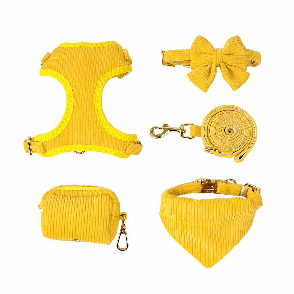 🐶 Geschirr mit Leine für kleine & mittlere Hunde – für Chihuahua, Zwergpudel, Malteser & Dackel, bequem & sicher beim Gassi