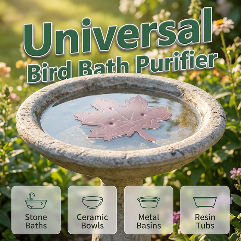 🐦🍁 Vogeltränke in Ahornblatt-Form – Gartendeko mit Wasserstelle für Vögel, leicht zu reinigen