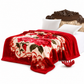 🛏️🌺 Warme Winterdecke aus Flanell – doppellagig, antistatisch & mit rotem Blumenmuster, kuschelig wie eine Wolke